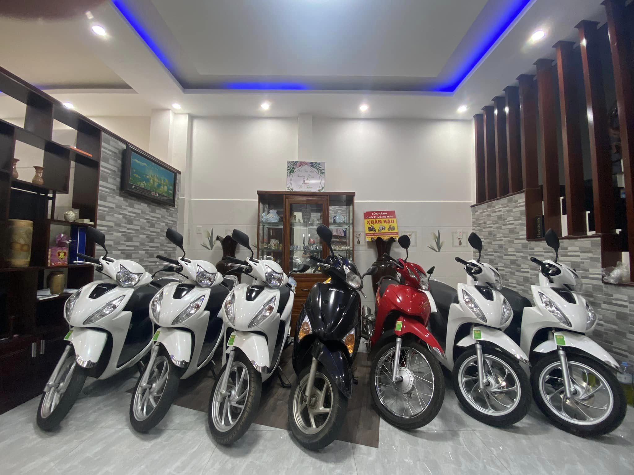 Trang chủ  Honda Sông Trà