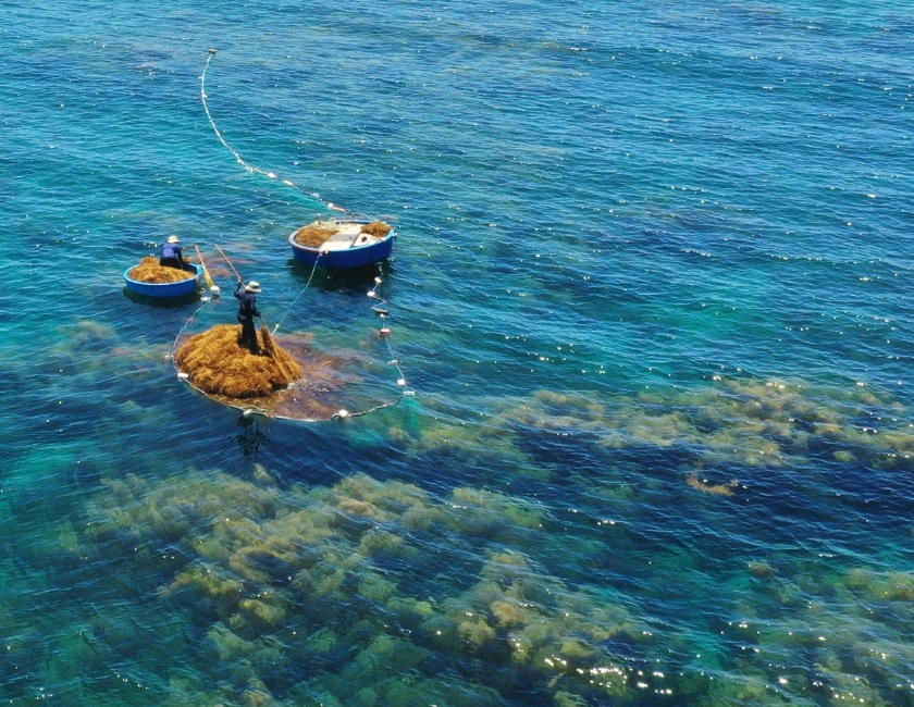 du lịch quảng ngãi