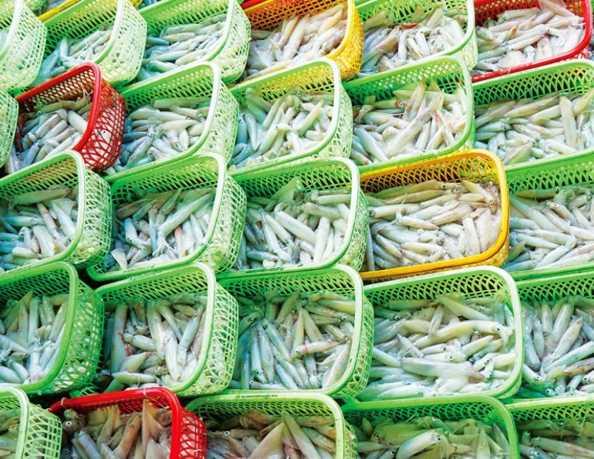 ẩm thực quảng ngãi