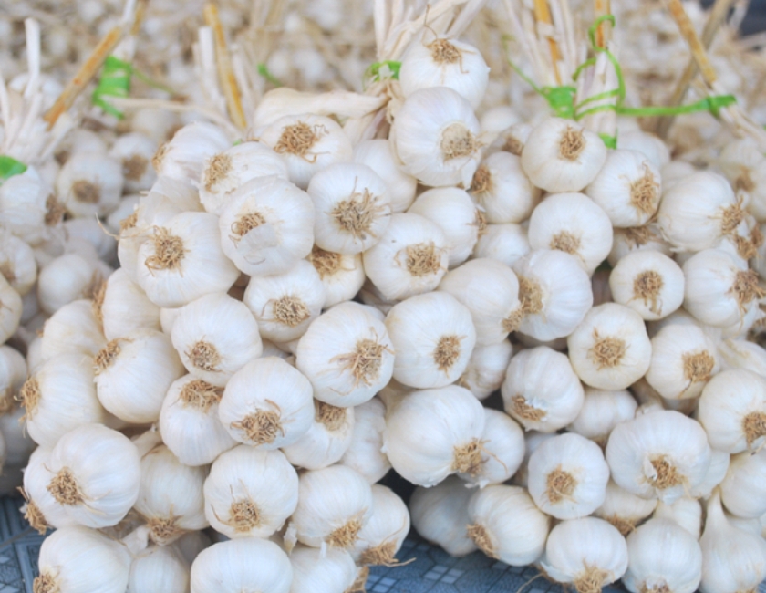 ẩm thực quảng ngãi